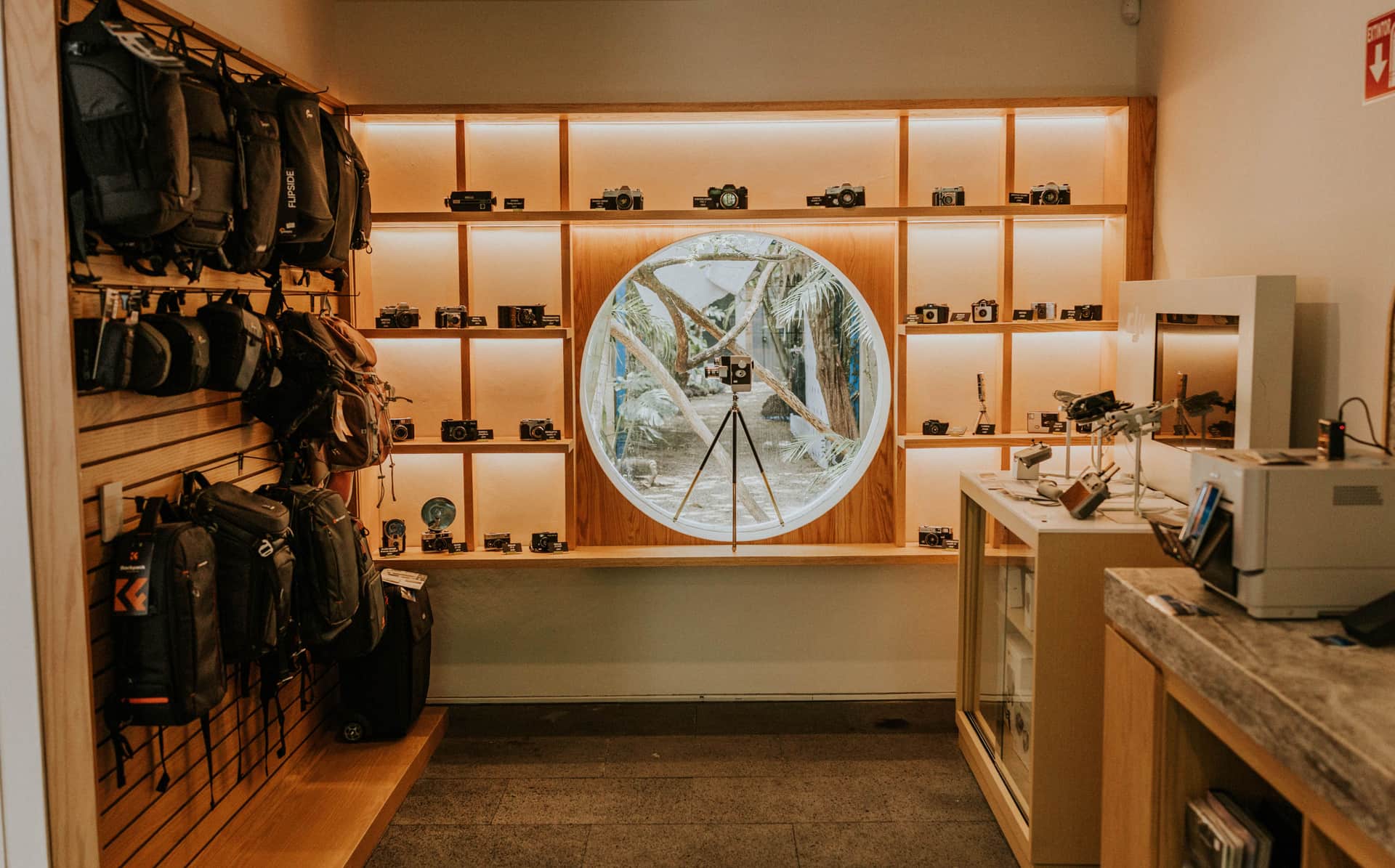 A warmly lit camera shop with cameras on shelves and camera bags on the wall